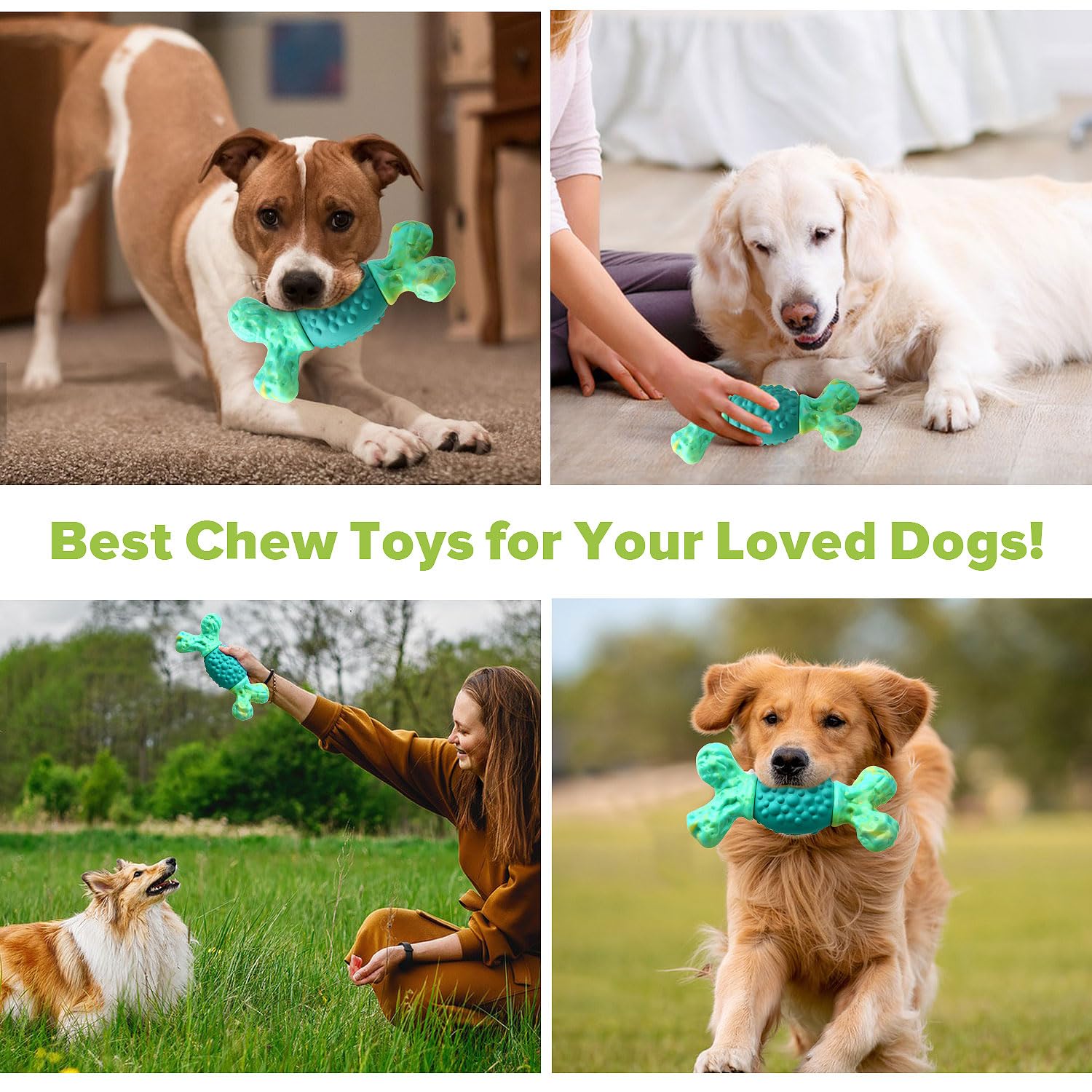 Forme os pratique, facile à saisir par le chien et le propriétaire.