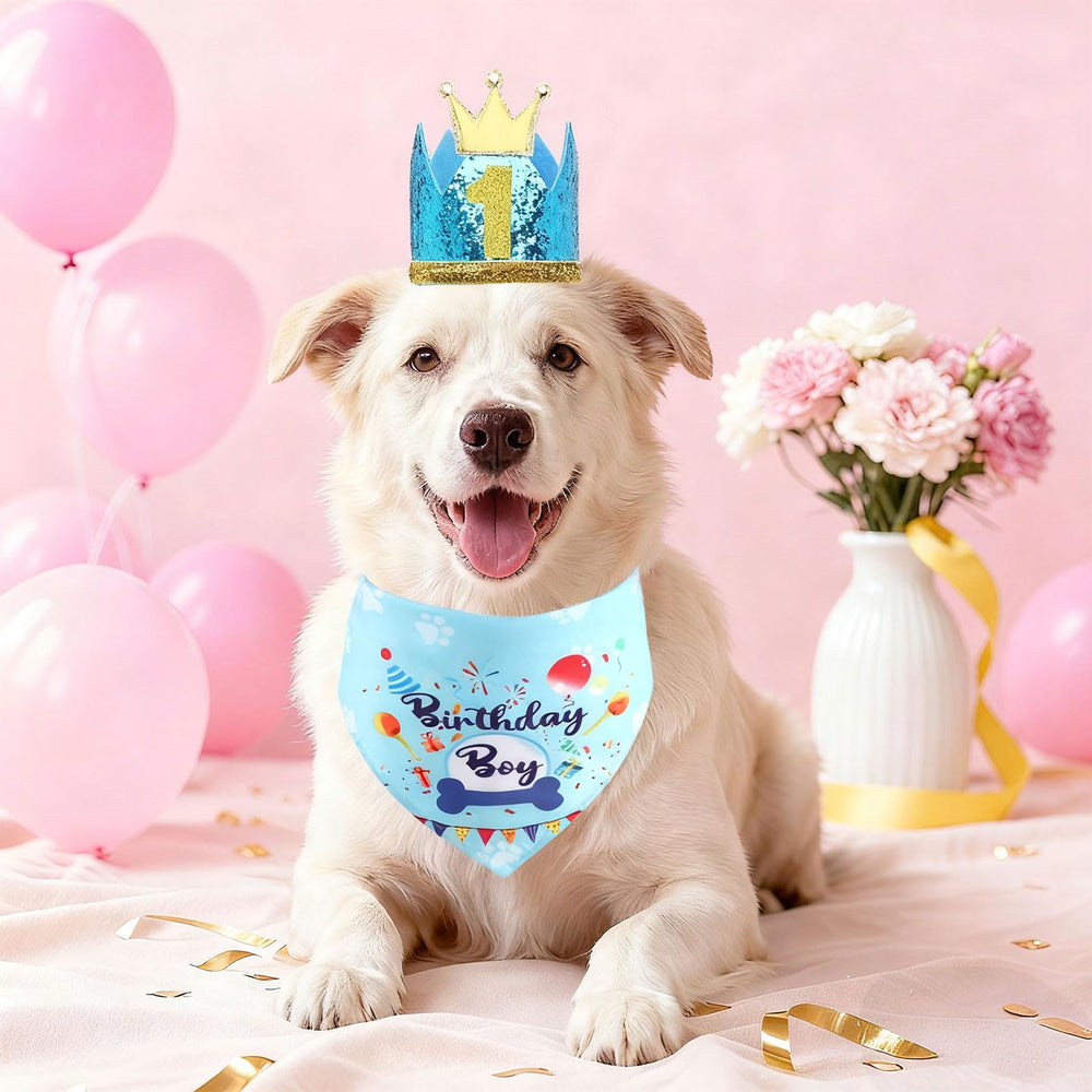 Chien heureux portant bandana et chapeau bleu Rensh lors d'une fête.