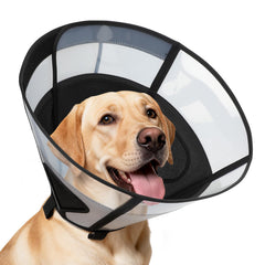 REOMORE cone pour grand chien en PVC transparent, protection post-chirurgie