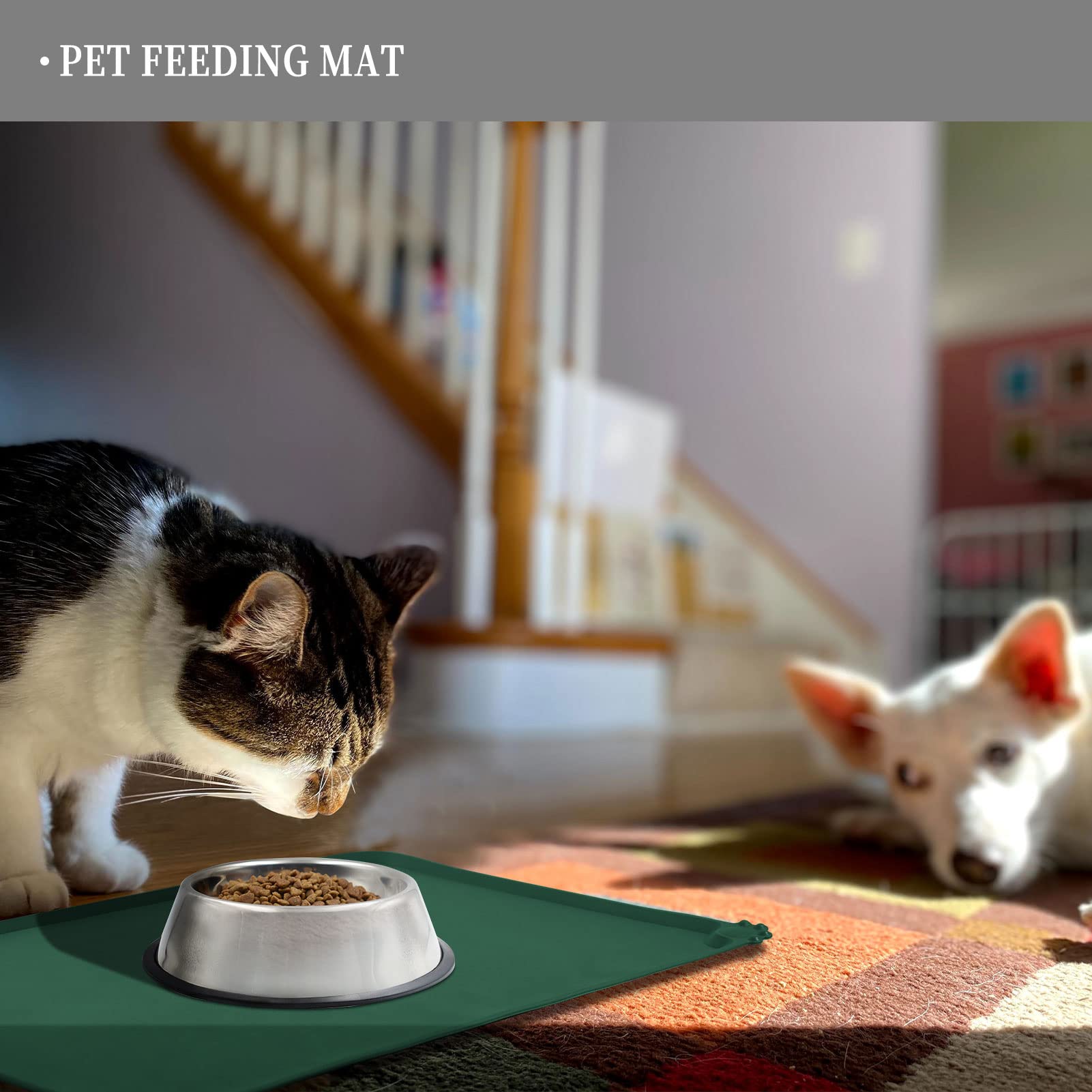 Tapis Reopet tailles multiples pour tous les chiens et chats
