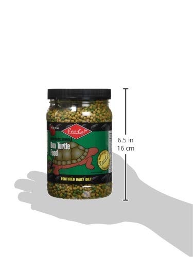 Rep-Cal tortue-boîte nourriture: portions simples à servir lors des repas.