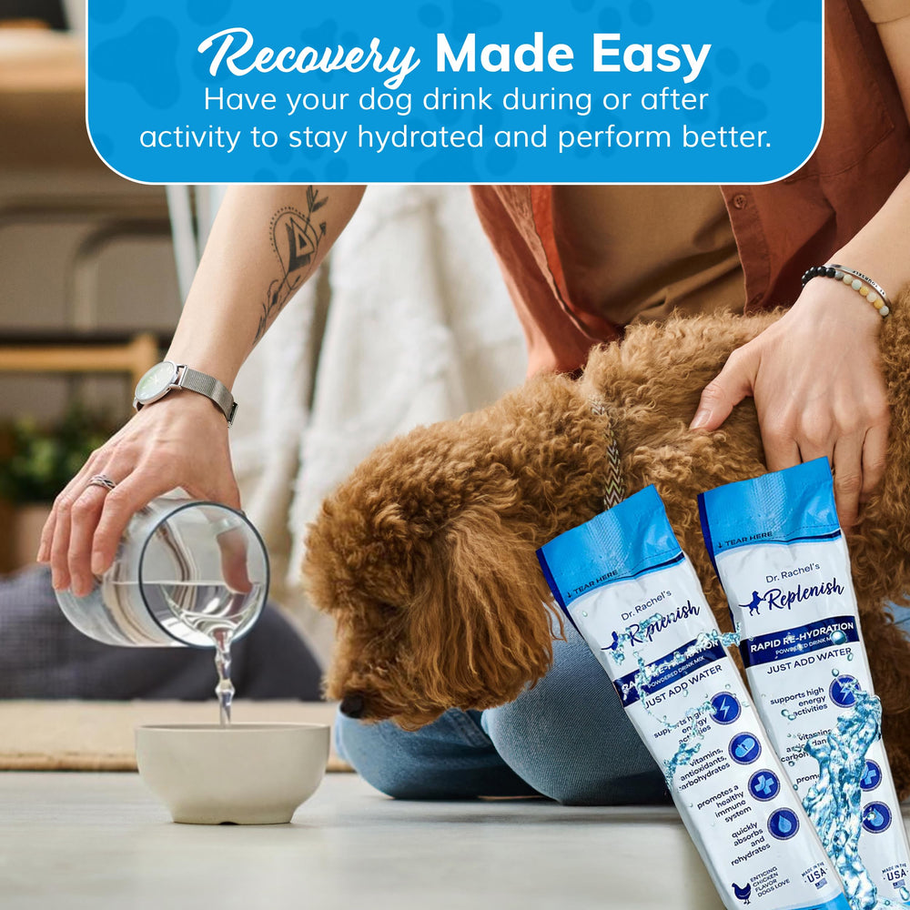 Replenish chien dosage – cuillère incluse pour mesurer facilement.