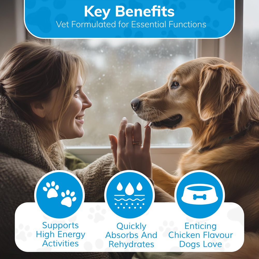 Replenish chien électrolytes poudre – mélange rapide pour réhydrater lors des déplacements.