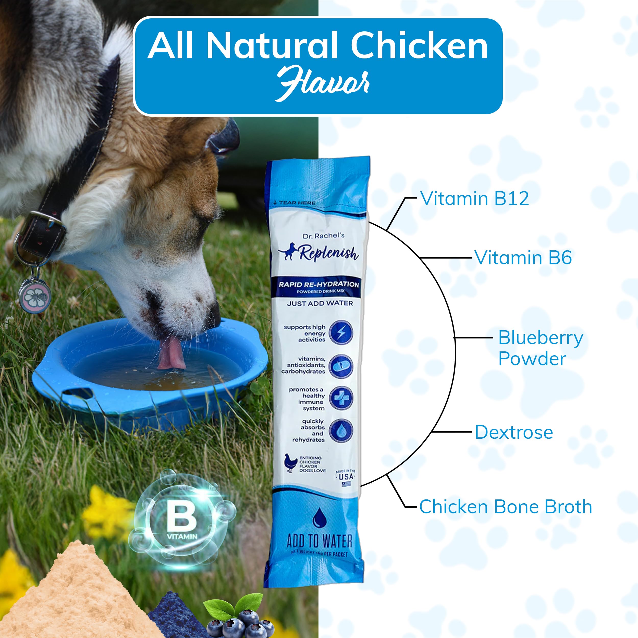 Replenish chien saveur poulet – eau aromatisée qui incite à boire.