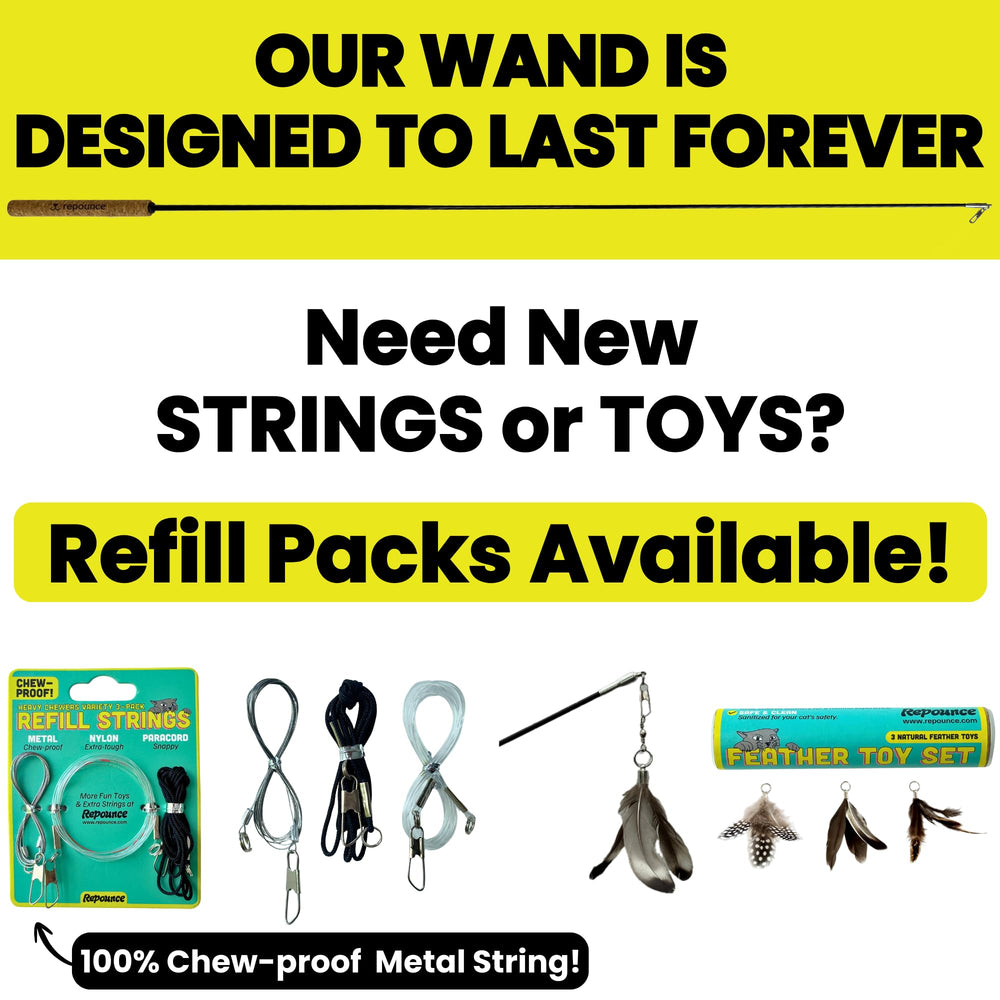 Repounce Forever Stick attaches interchangeables pour varier les jeux.