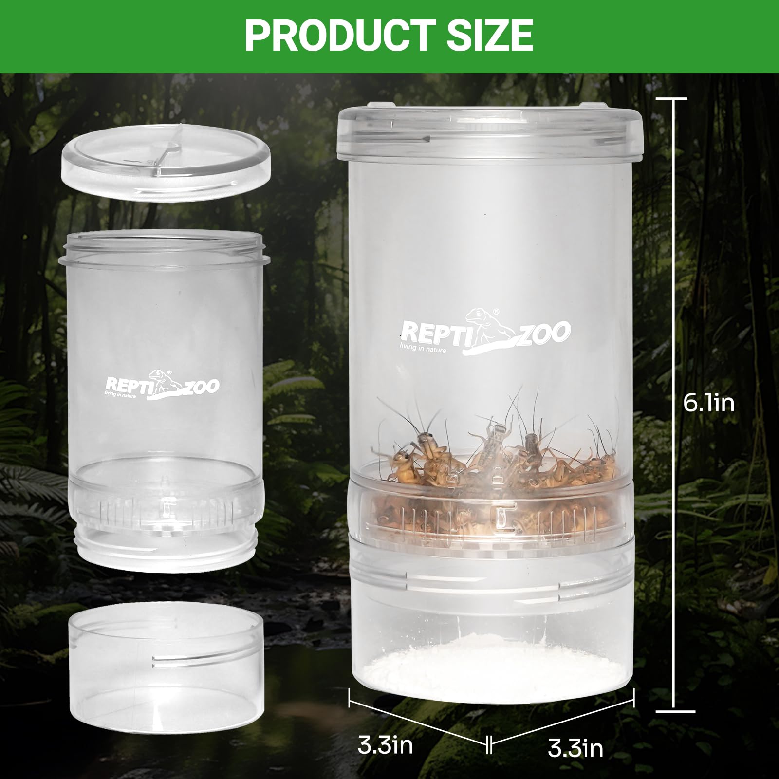 Boîte de criquets REPTI ZOO transparente pour un stockage sûr.