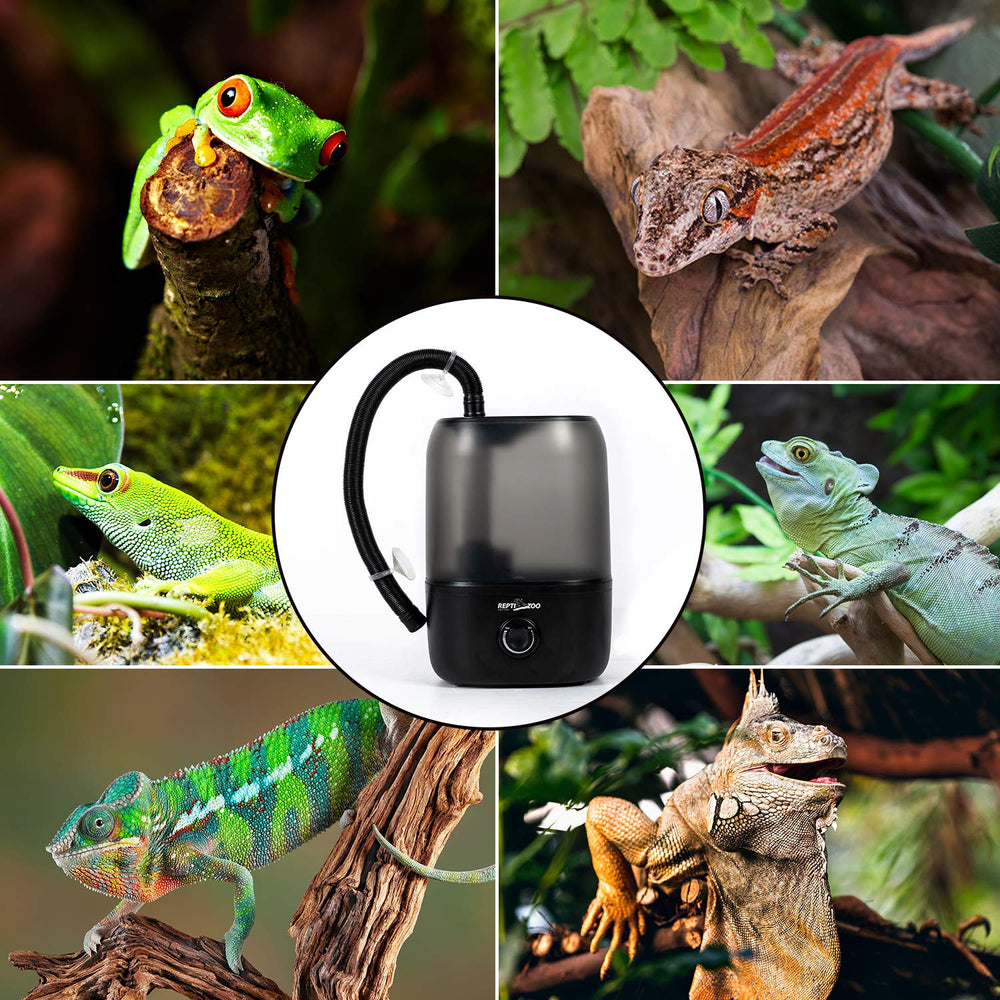 REPTI ZOO fonctionnement ultra silencieux pour terrarium calme.