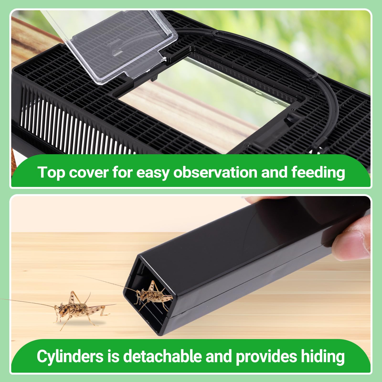 REPTI ZOO couvercle-separable et ventilation intégrée pour un nettoyage facile
