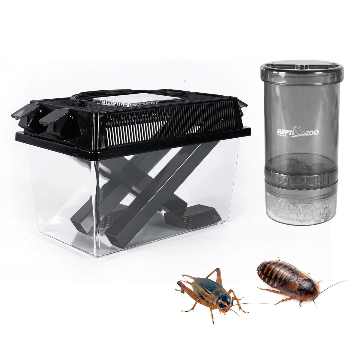 REPTI ZOO gardien-criquets transparent pour observation facile des criquets