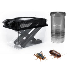 REPTI ZOO gardien-criquets transparent pour observation facile des criquets