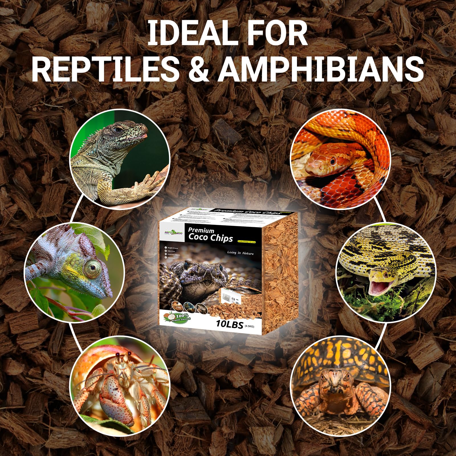 Expérience REPTI ZOO: substrat coco pour reptiles.