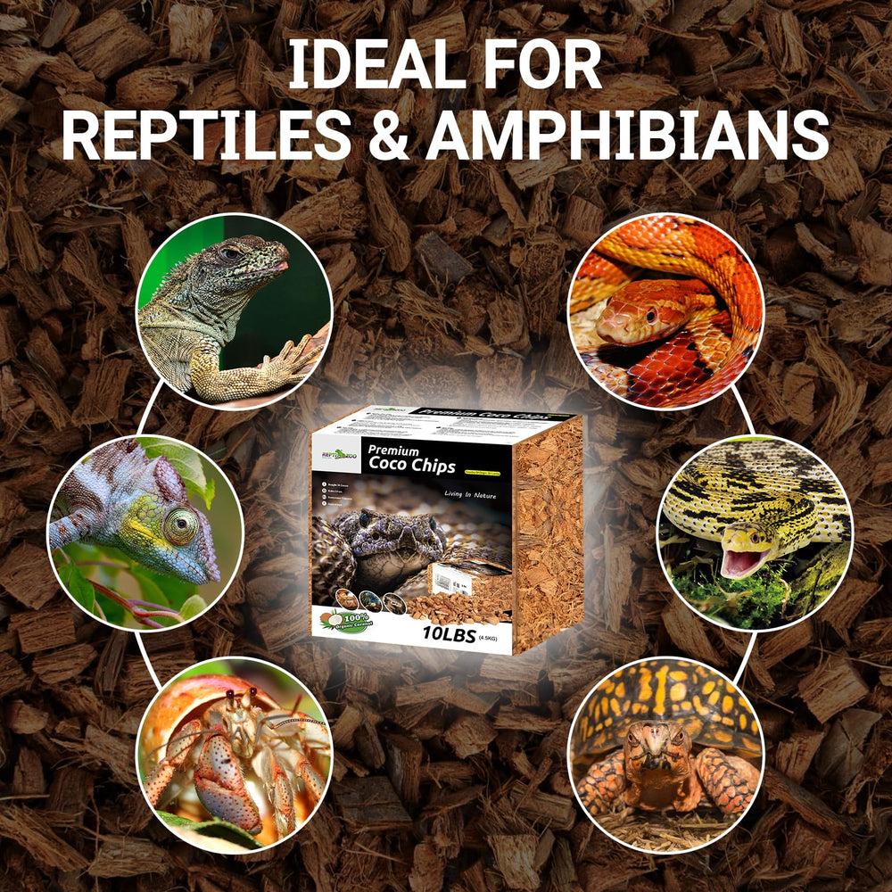 Expérience REPTI ZOO: substrat coco pour reptiles.