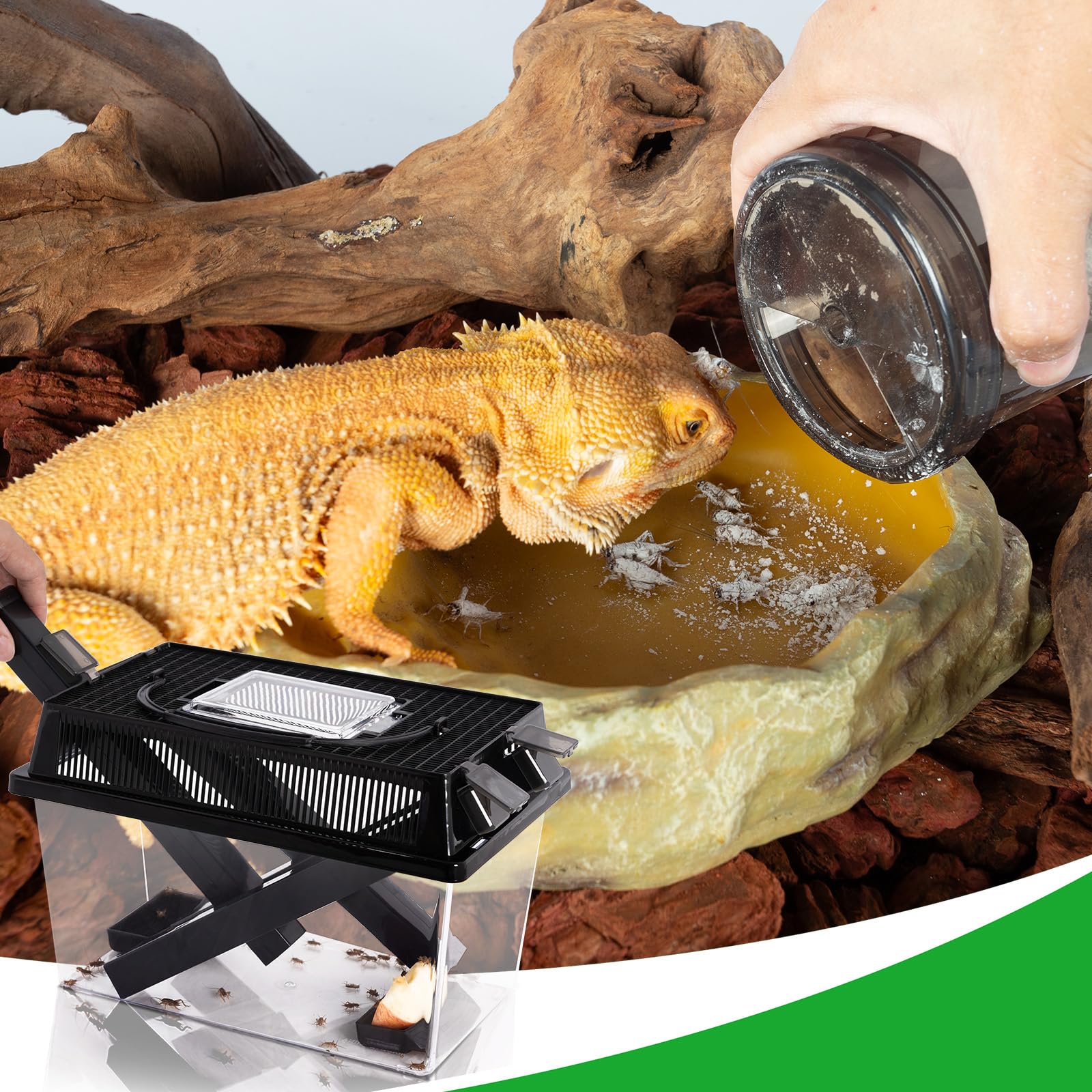 REPTI ZOO kit-alimentation-reptiles, solution tout-en-un pratique