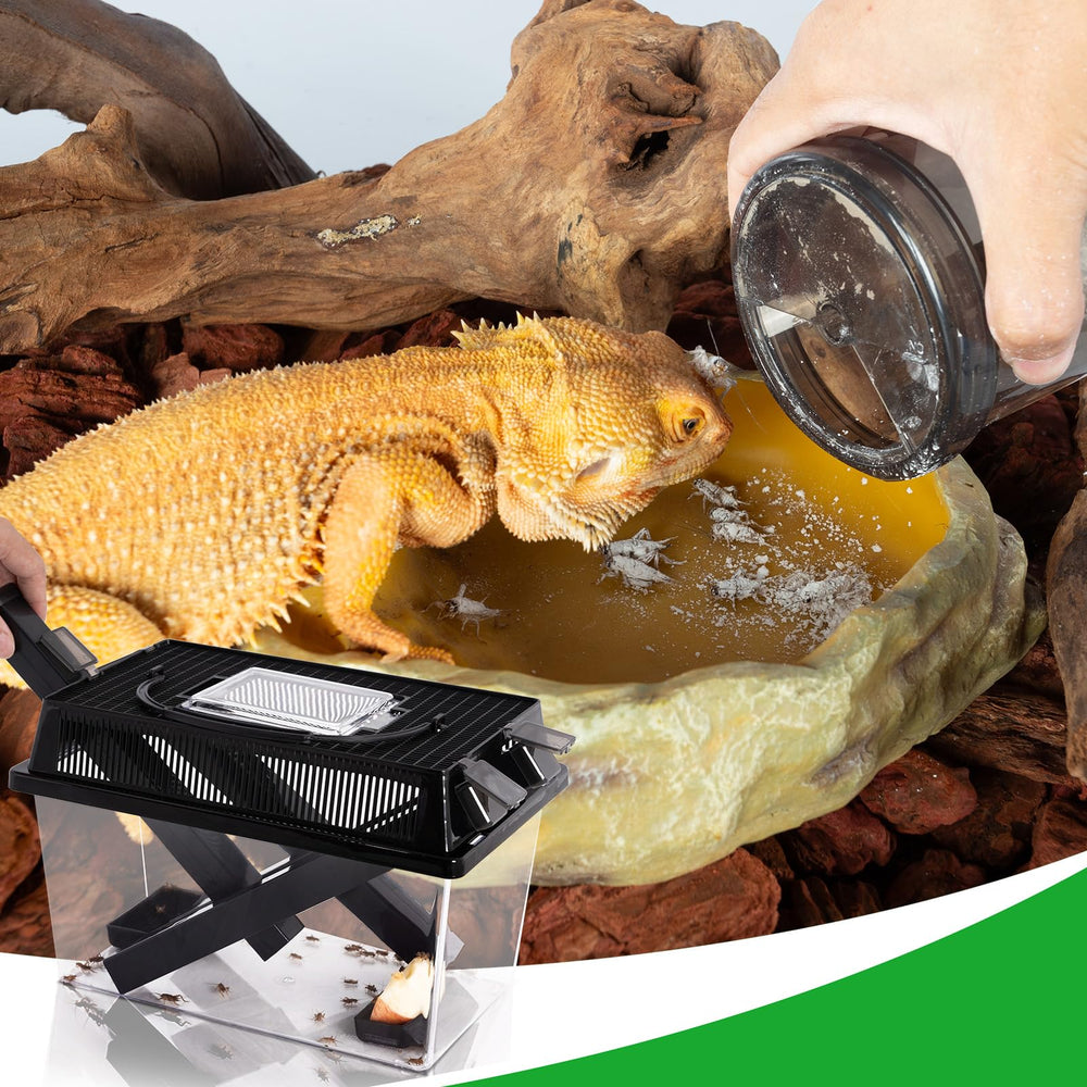 REPTI ZOO kit-alimentation-reptiles, solution tout-en-un pratique