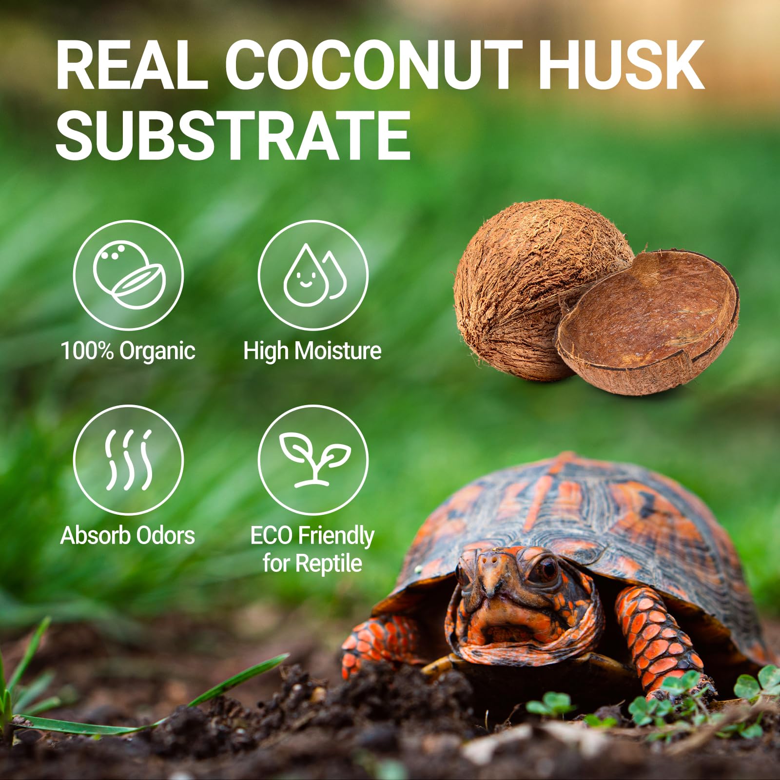 REPTI ZOO Litiere Coco Compacte : couverture facile du terrarium