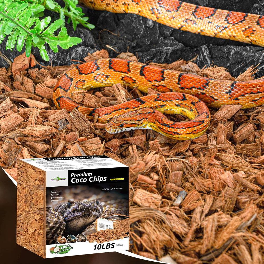 Litière naturelle REPTI ZOO adaptée serpents et tortues.