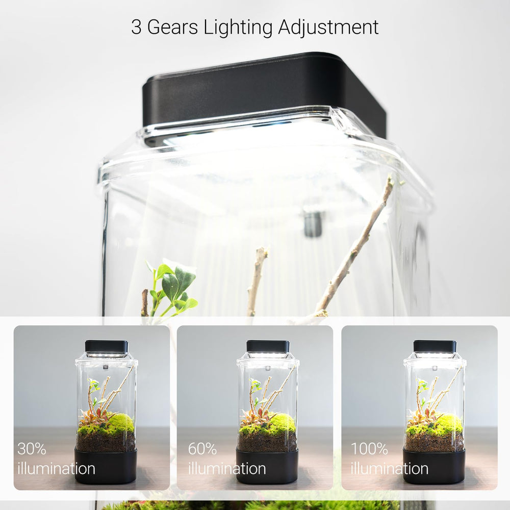 Couvercle transparent avec orifice d'alimentation.