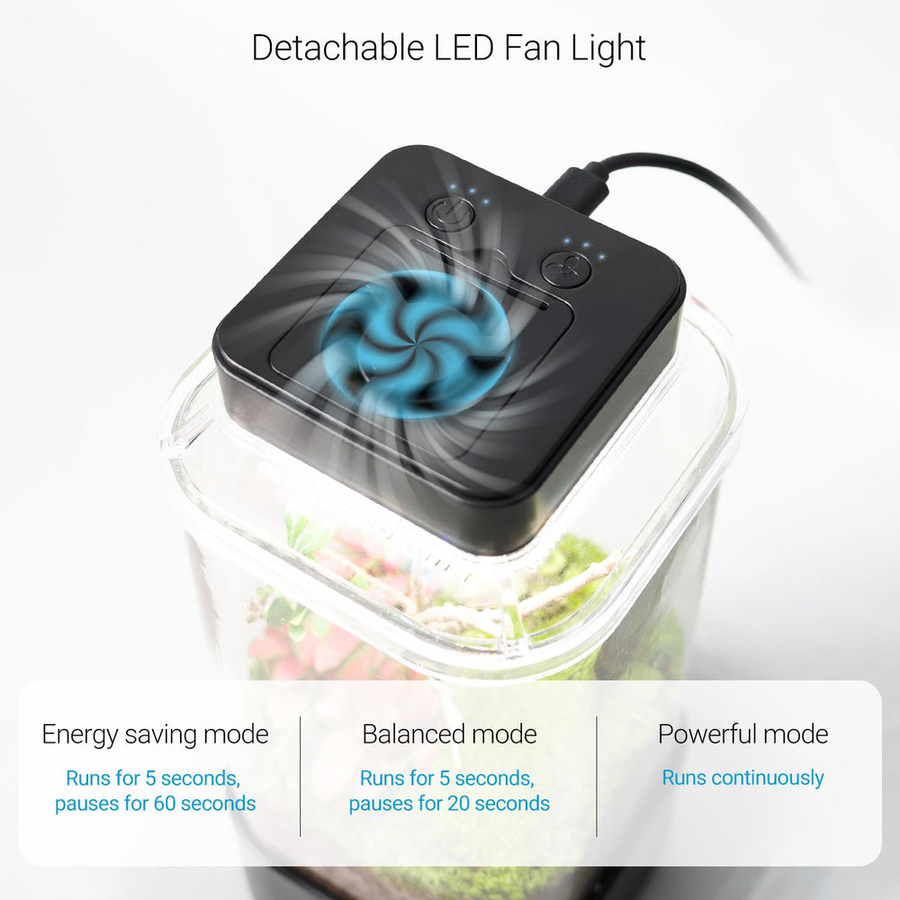 Terrarium REPTI ZOO humidification automatique pour l'humidité adaptée.