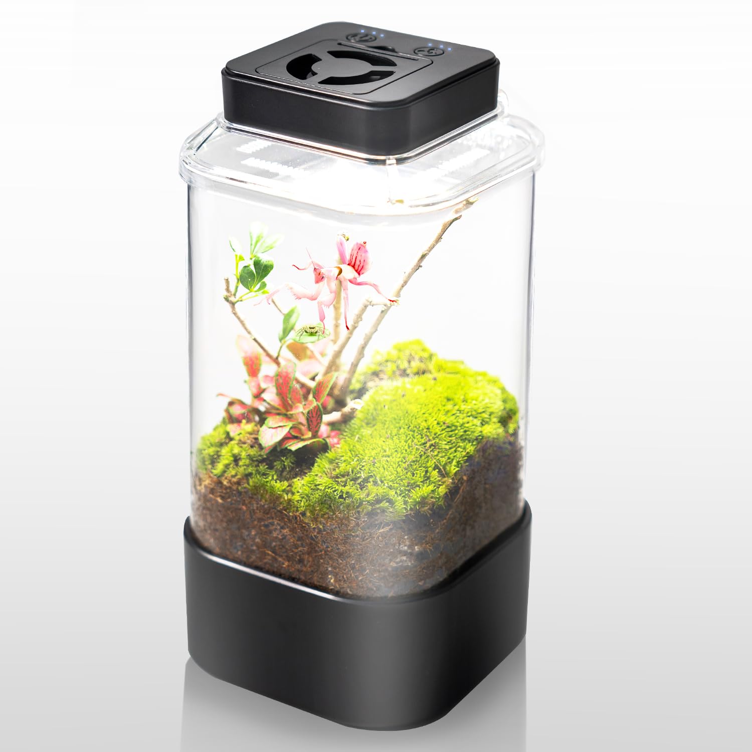 Terrarium REPTI ZOO 4 po x 4 po x 6 po, compact et pratique.