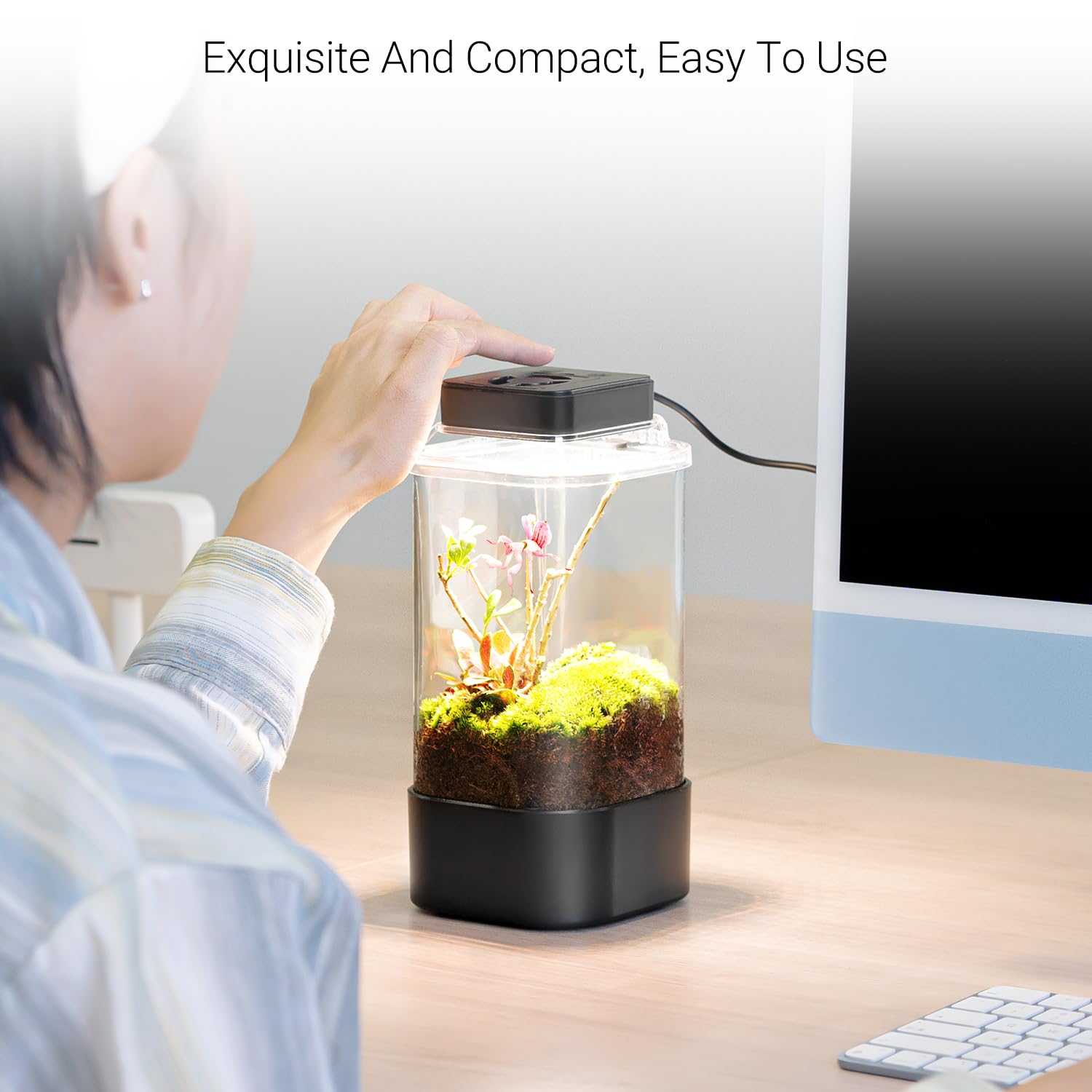 Parfaite pour petites arachnides et reptiles.