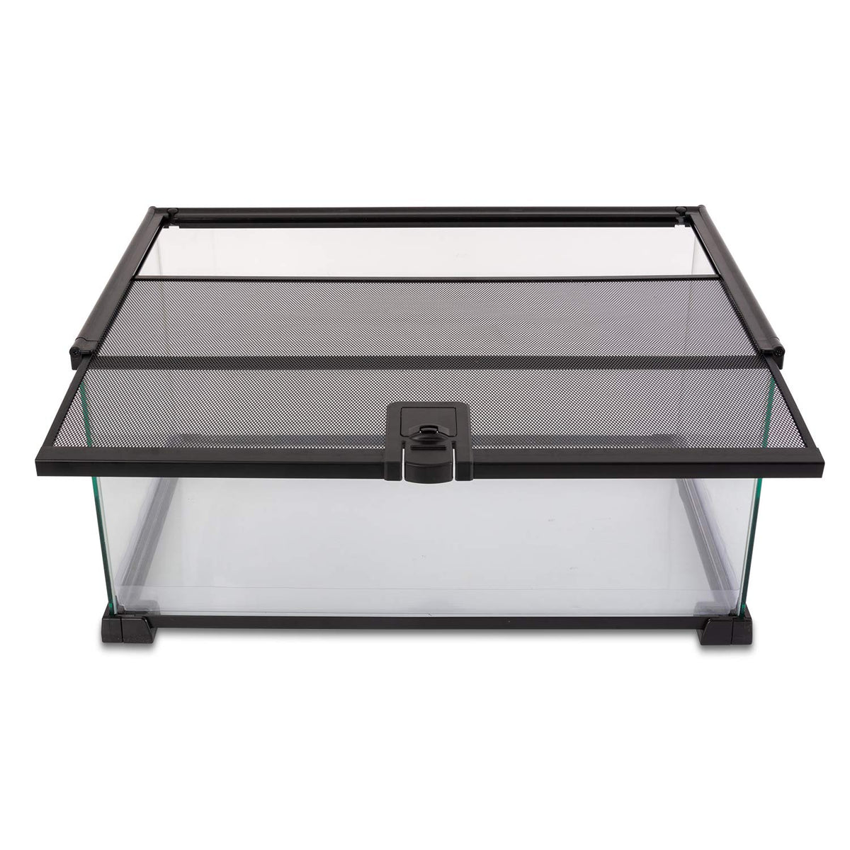 REPTI ZOO terrarium vue 360 pour observer le paysage intérieur.