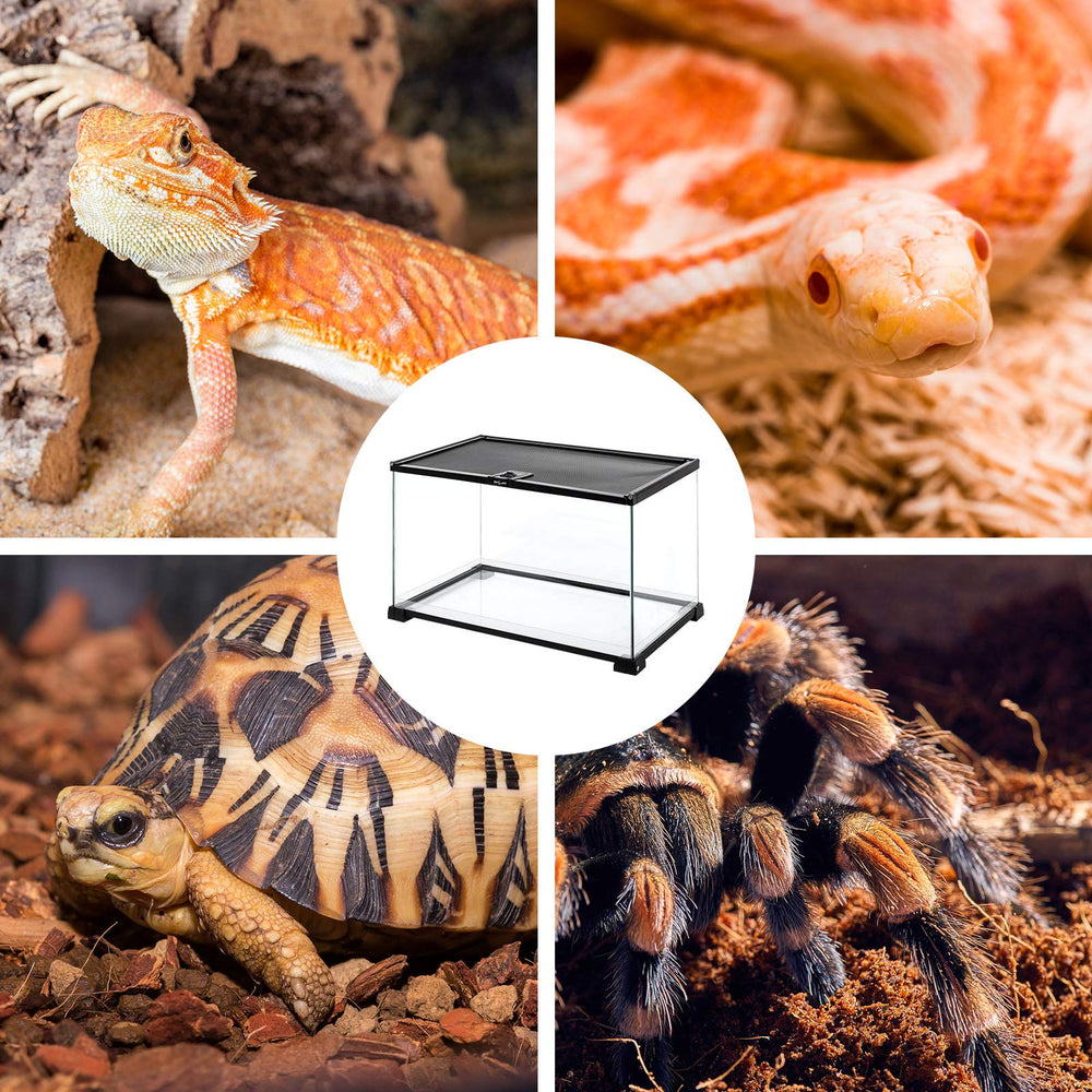 REPTI ZOO Emballage renforcé - protection lors du transport et remplacement.