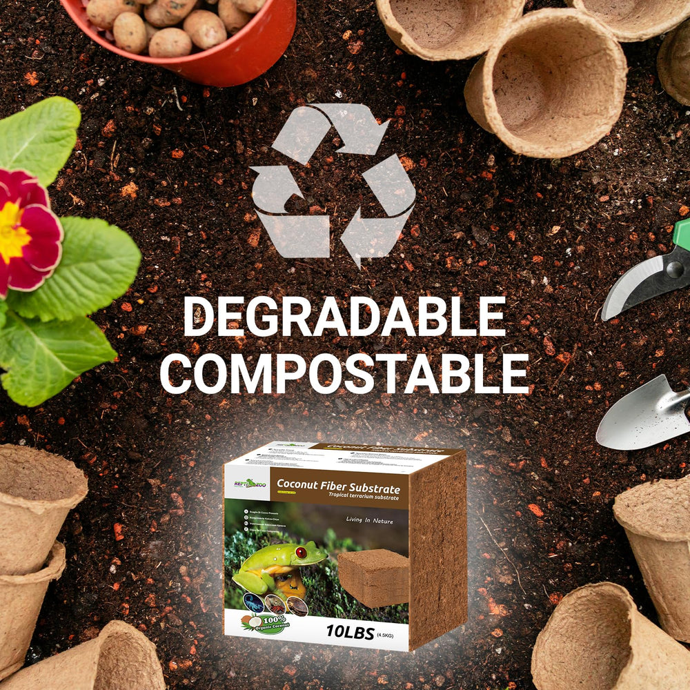 REPTI ZOO Utilisation Simple : humidification adaptée et couverture large
