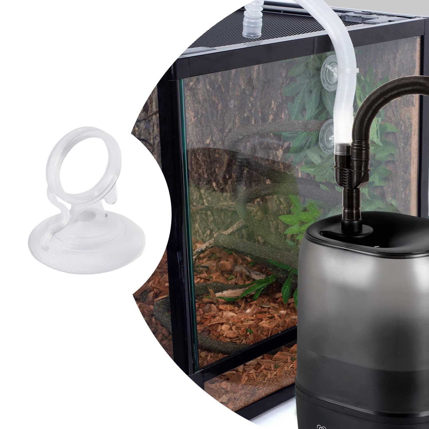 REPTI ZOO ventouses pour fixation — installation rapide et propre.