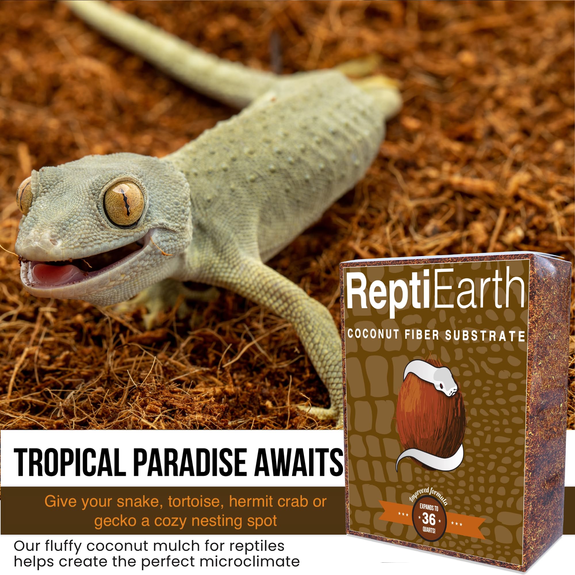 ReptiEarth substrat coco creusage favorise fouissage des reptiles