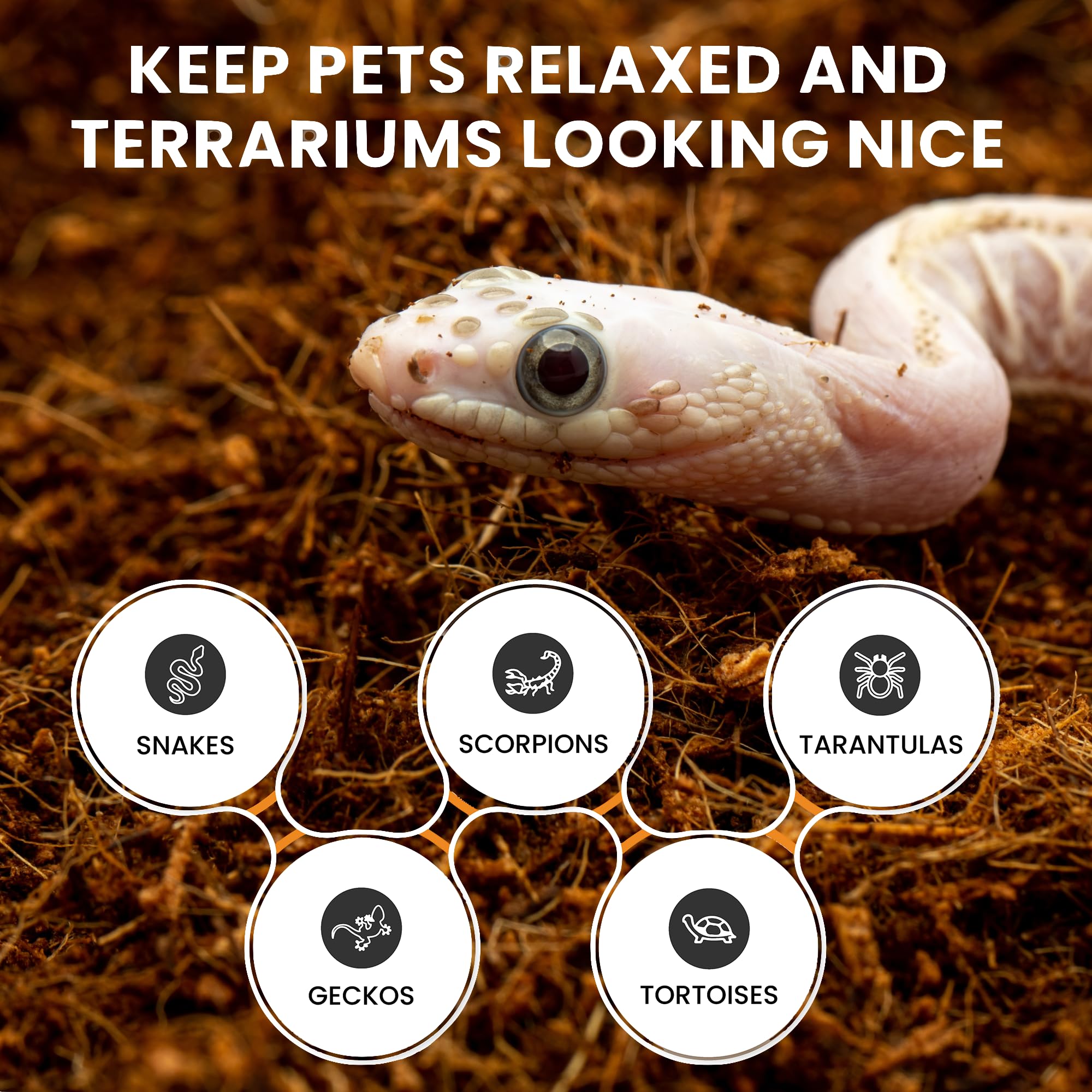ReptiEarth substrat coco humide adaptable aux espèces tropicales