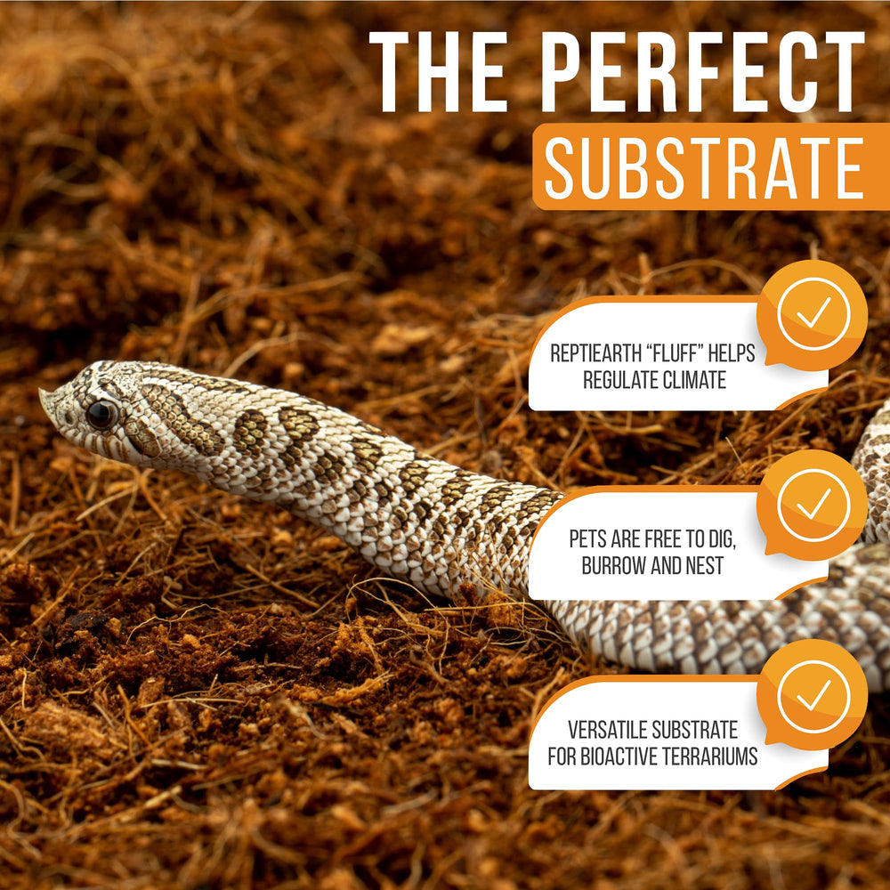 ReptiEarth substrat coco contrôle des odeurs et propreté du terrarium