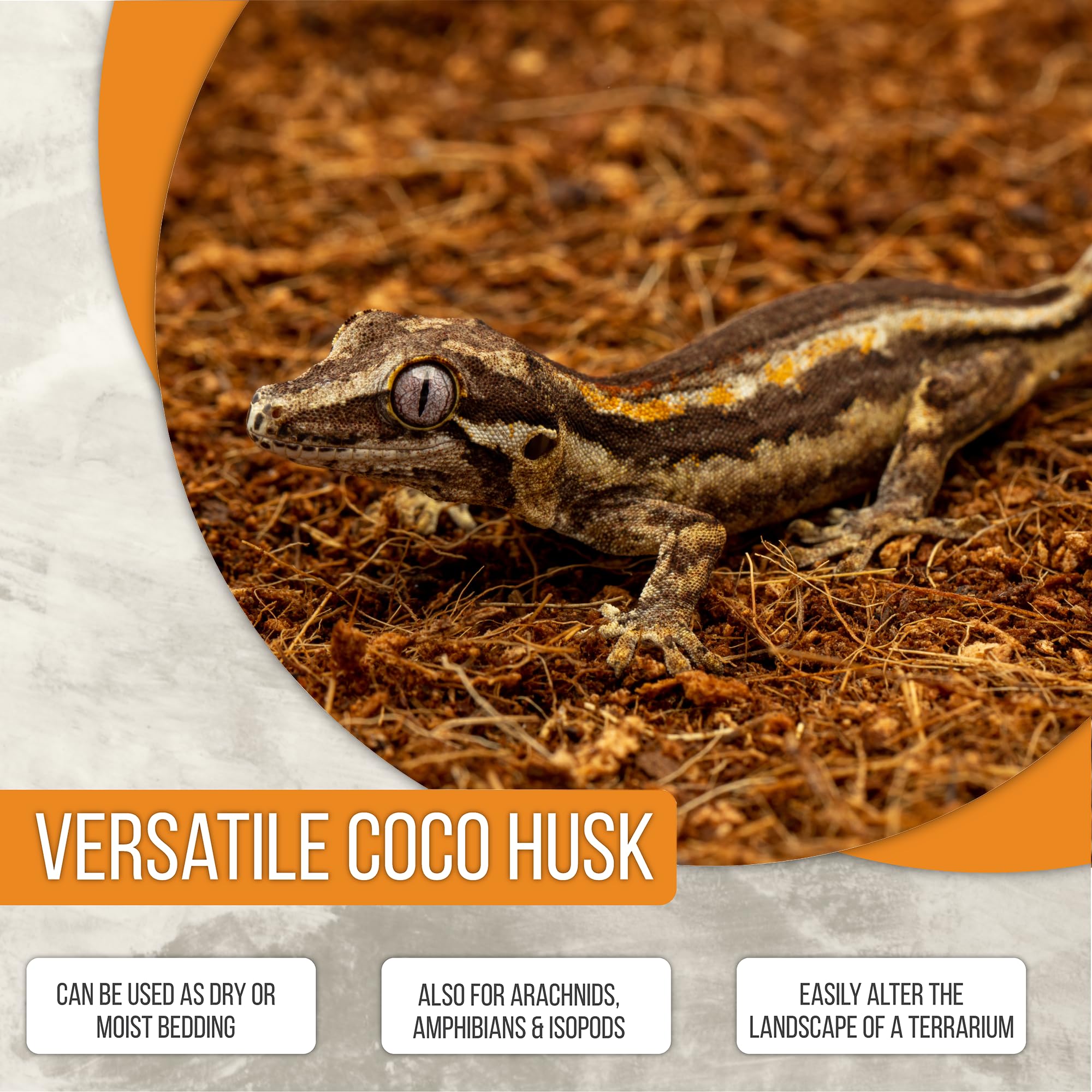ReptiEarth substrat coco prêt pour tarantules et iguanes