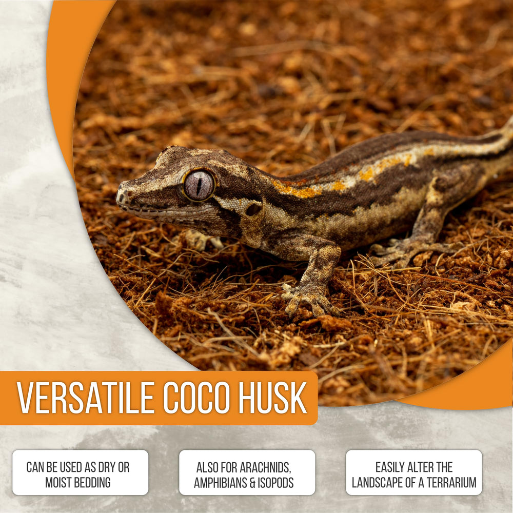ReptiEarth substrat coco prêt pour tarantules et iguanes