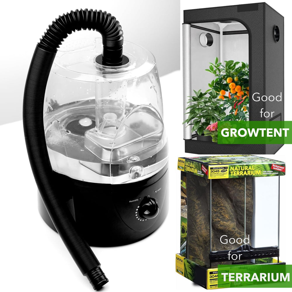 Brume ultrasonique silencieuse produite par le Brumisateur ReptiKing.