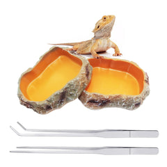 Bol nourriture Reptile Growth, pratique et stable pour nourrir votre reptile