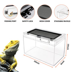 Base en polycarbonate anti-éclatement pour sécurité renforcée