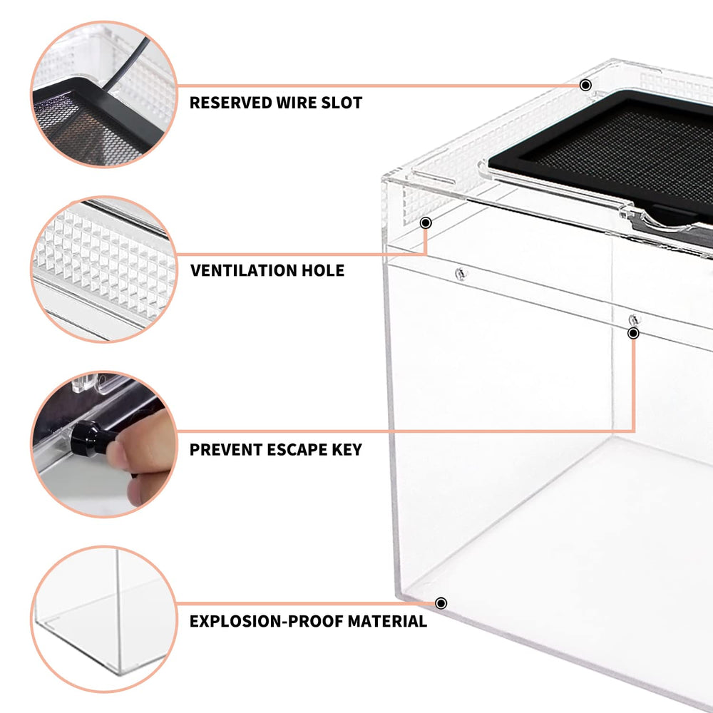 Terrarium mini Reptile Growth - base PC transparente offre vue à 360°