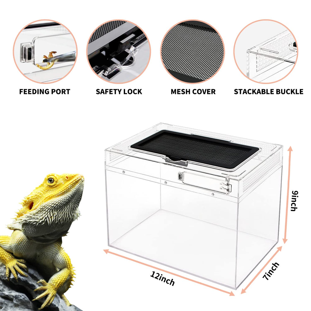 Terrarium mini Reptile Growth - toit en maille assure ventilation efficace