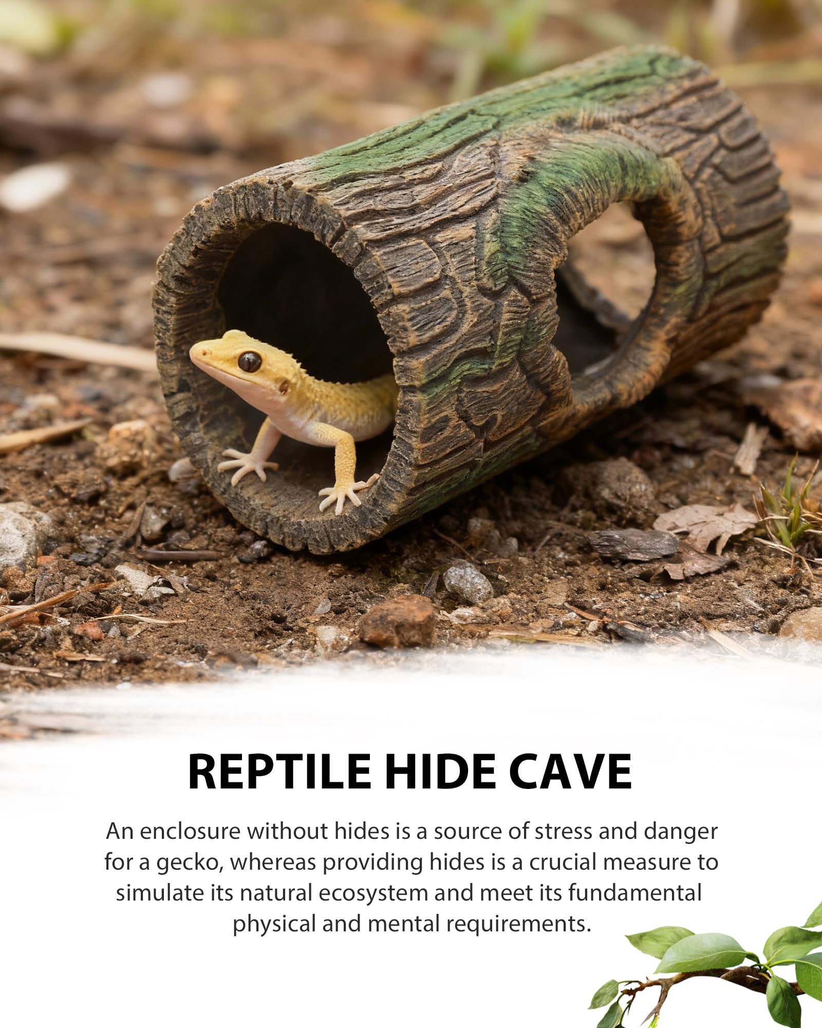 REPTITRIP decor-terrarien-foret-plantee: ambiance réaliste et refuge discret.
