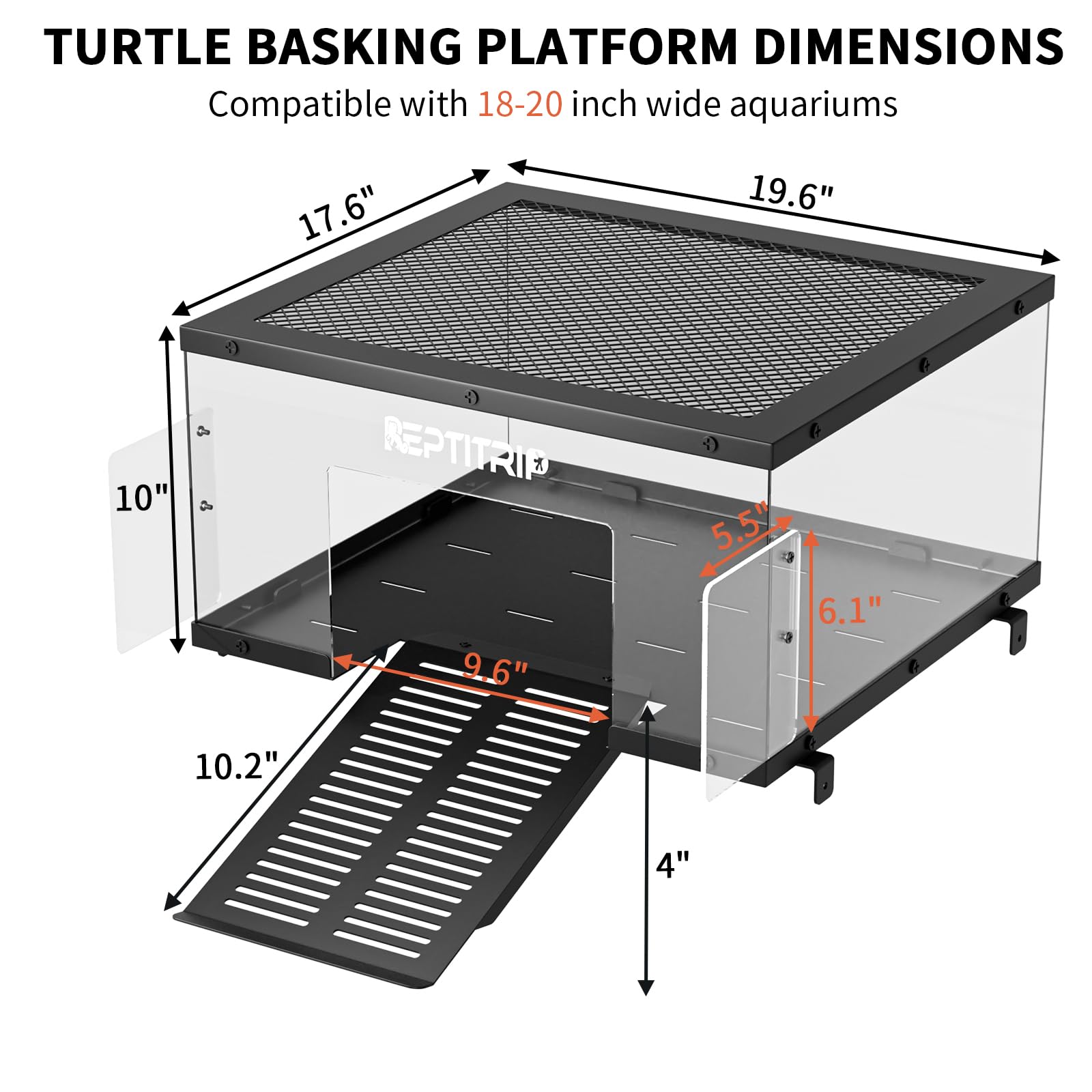 REPTITRIP Espace élargi pour plus d'activités tortue.