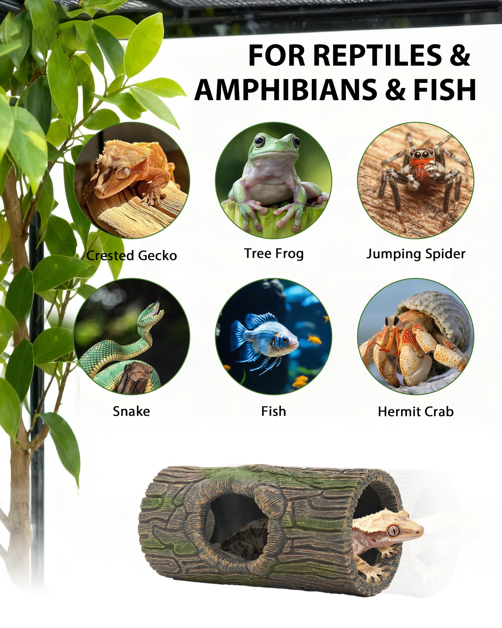REPTITRIP habitat-amphibien grenouille-arbre: refuge sécurisé et enrichissement.