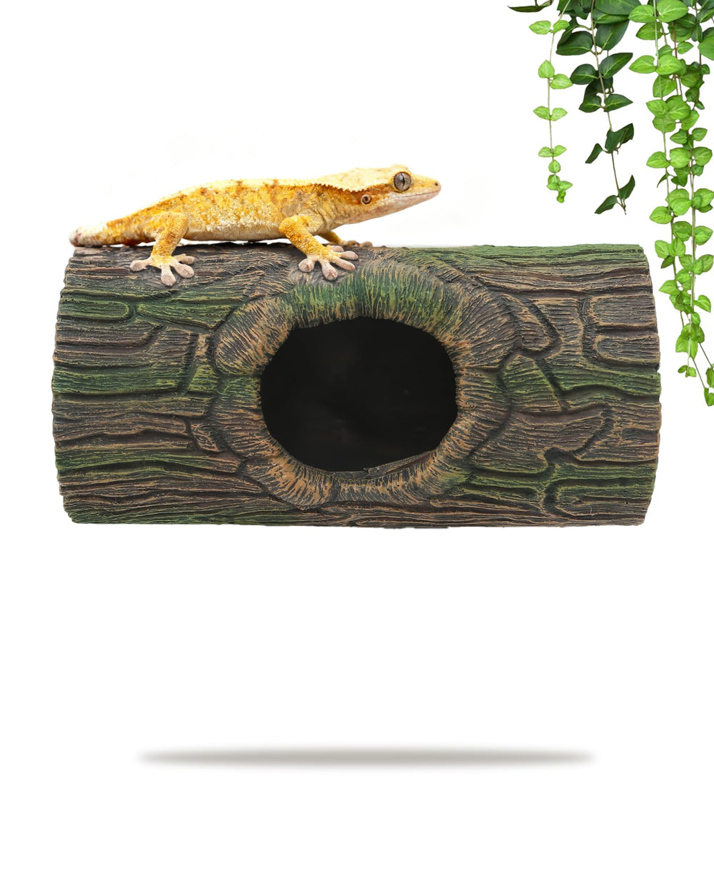 REPTITRIP habitat-aquatique poissons: décor naturel et cache pour petits habitants.