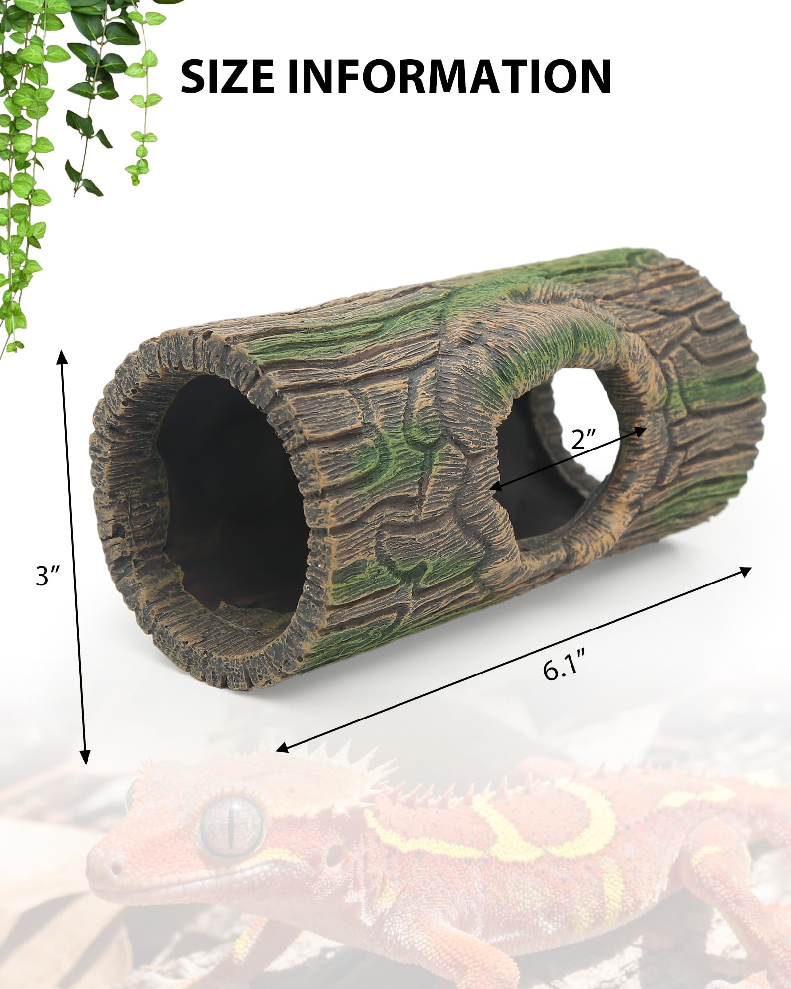 REPTITRIP habitat-arboreal-gecko-a-crête: idéal pour grimpes et exploration.