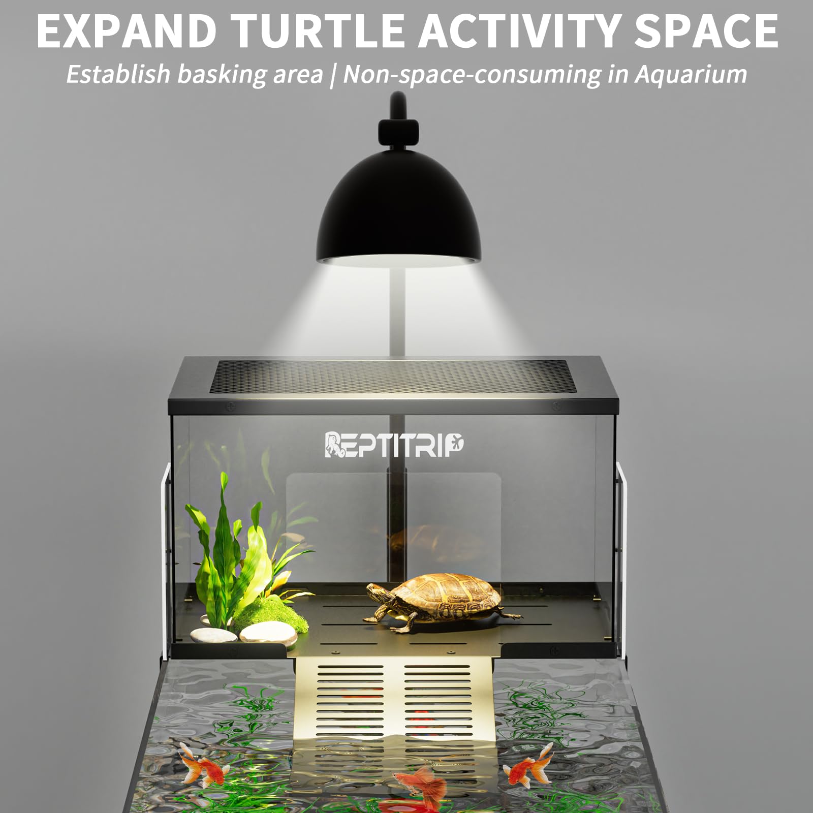 REPTITRIP inox-304 top-base: durabilité et nettoyage facile dans l'humidité.