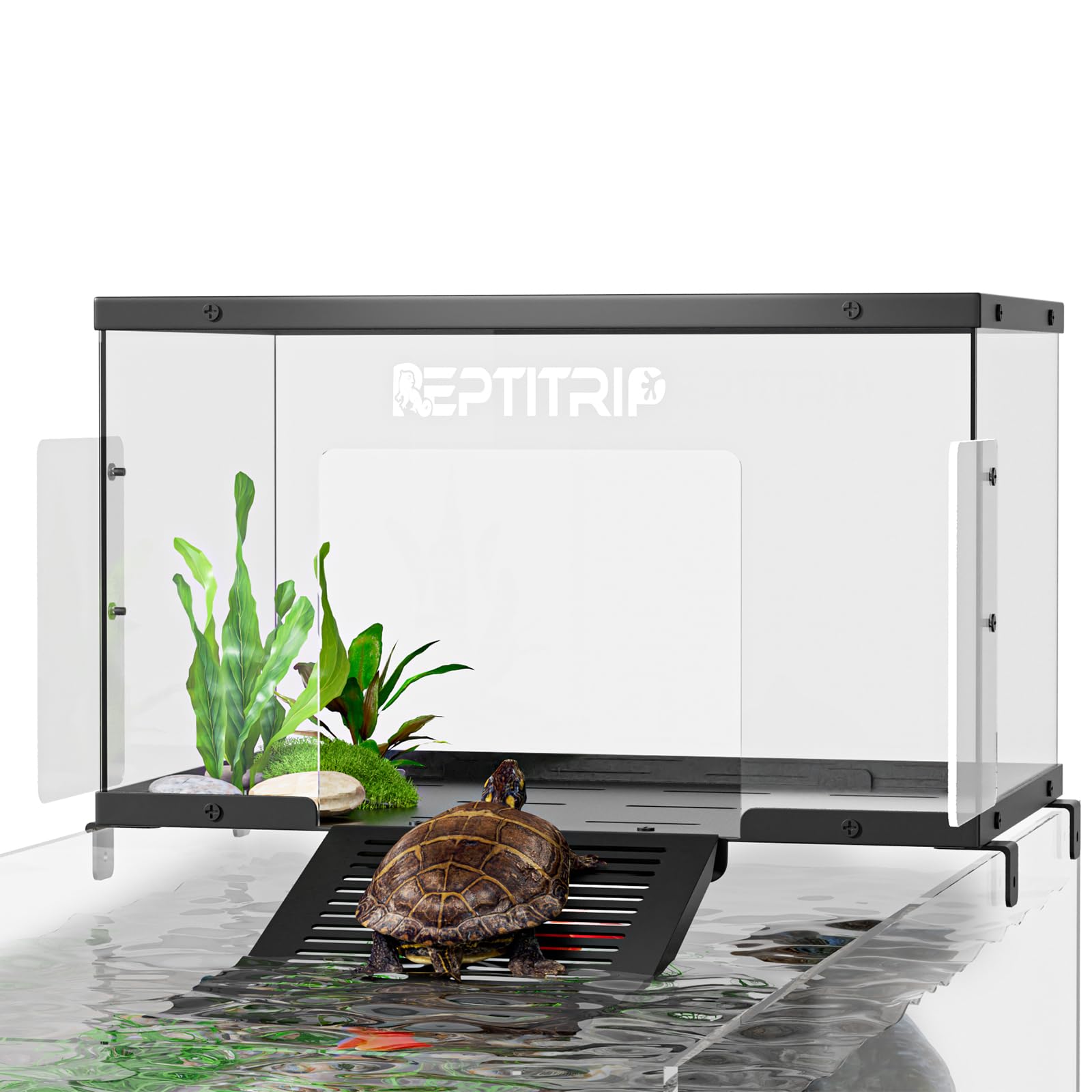 REPTITRIP plateforme-baignade tortue dock en acier inox pour un soutien stable.