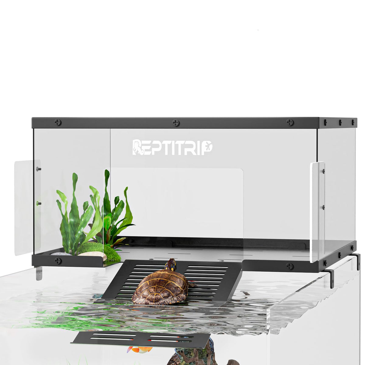 REPTITRIP Plateforme tortue en inox pour exposition soleil et repos.