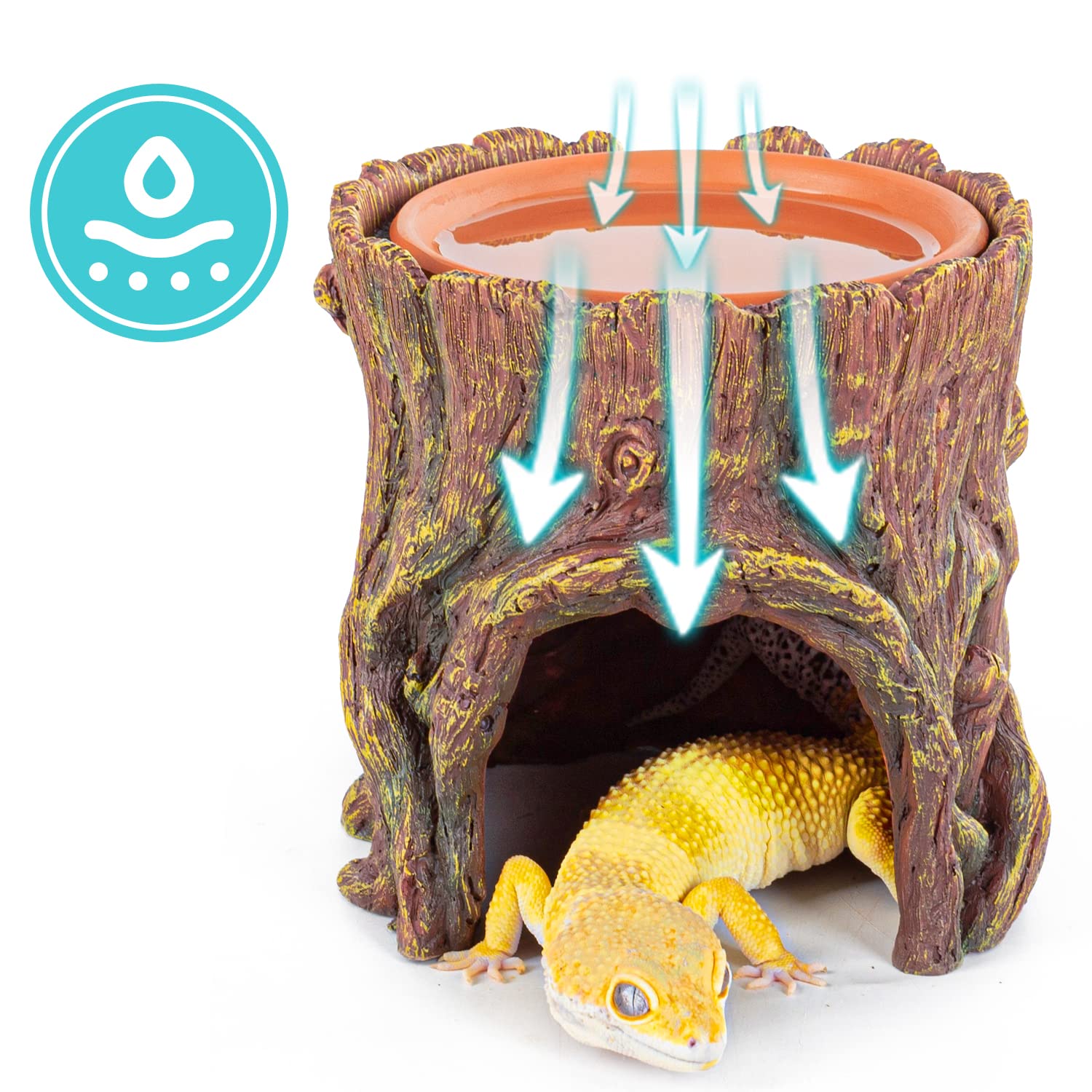 REPTIZOO-bac-eau-amovible-argile: nettoyage facile et pratique.