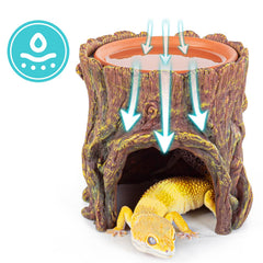 REPTIZOO-bac-eau-amovible-argile: nettoyage facile et pratique.