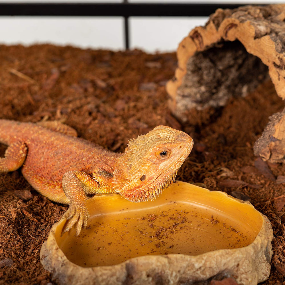 Dimensions REPTIZOO 8,8 x 6,5 x 1,5 pouces pour reptiles et amphibiens.