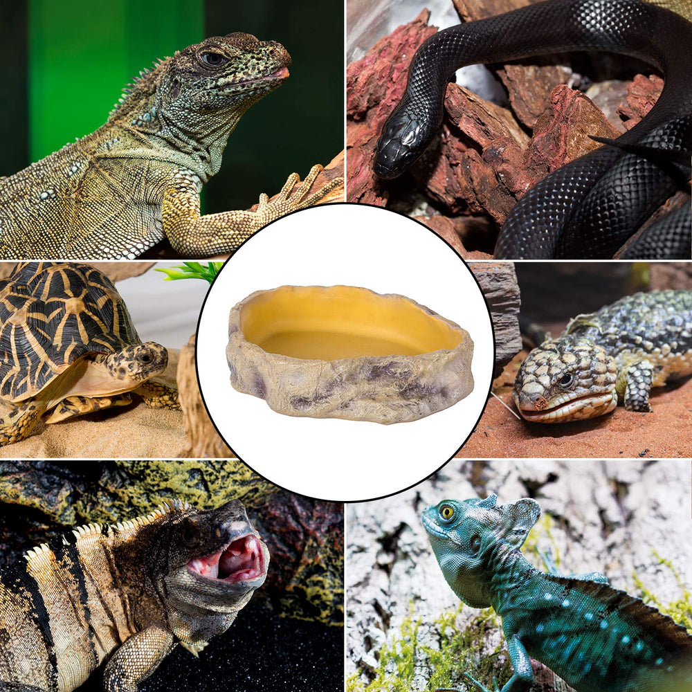 REPTIZOO bol d'eau détail matière résine durable.